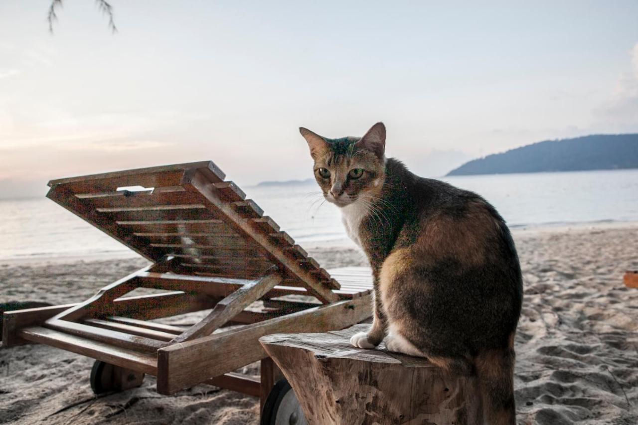 Swiss Cottage Tioman Kampong Ayer Batang Buitenkant foto